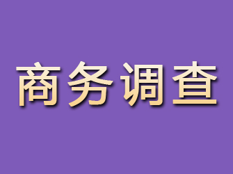 泸县商务调查